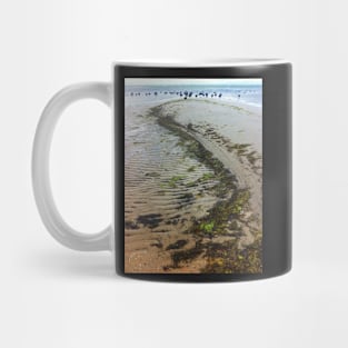 Black Swans Mug